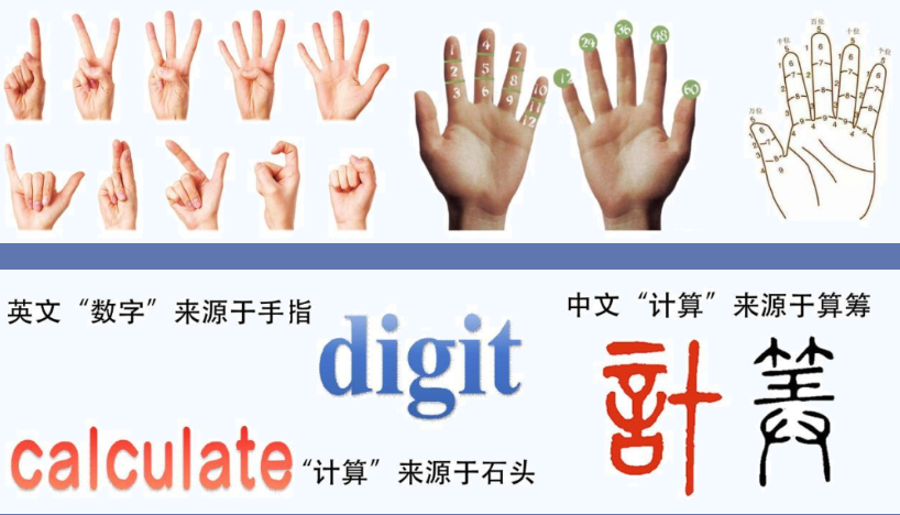 手指计数、数字与计算起源的图文资料